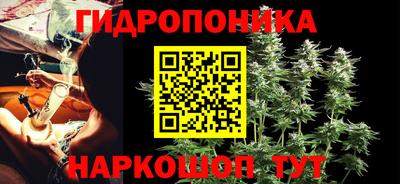 прущие крисы Партизанск