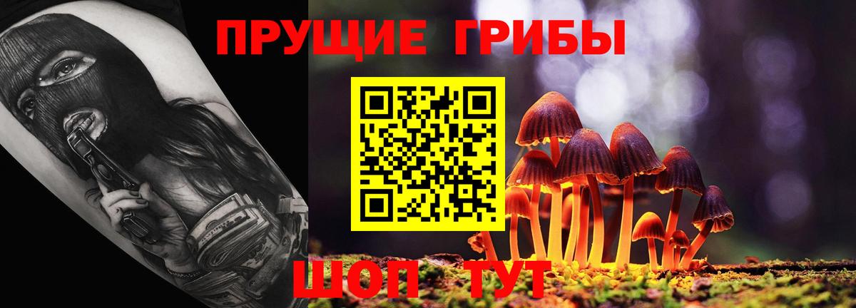 Галлюциногенные грибы мухоморы Приморско-Ахтарск